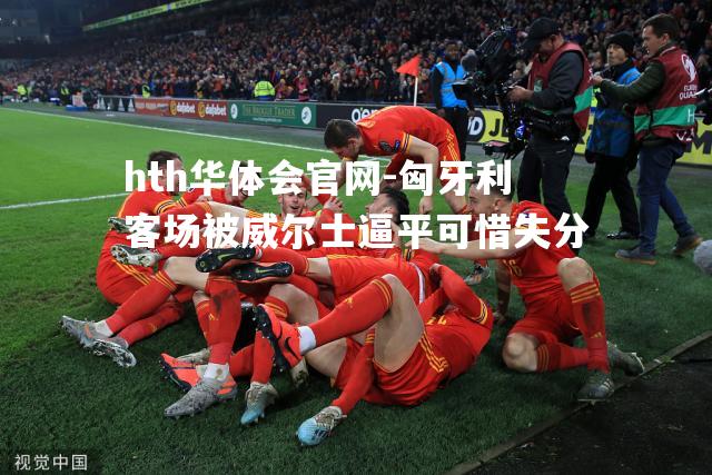 匈牙利客场被威尔士逼平可惜失分