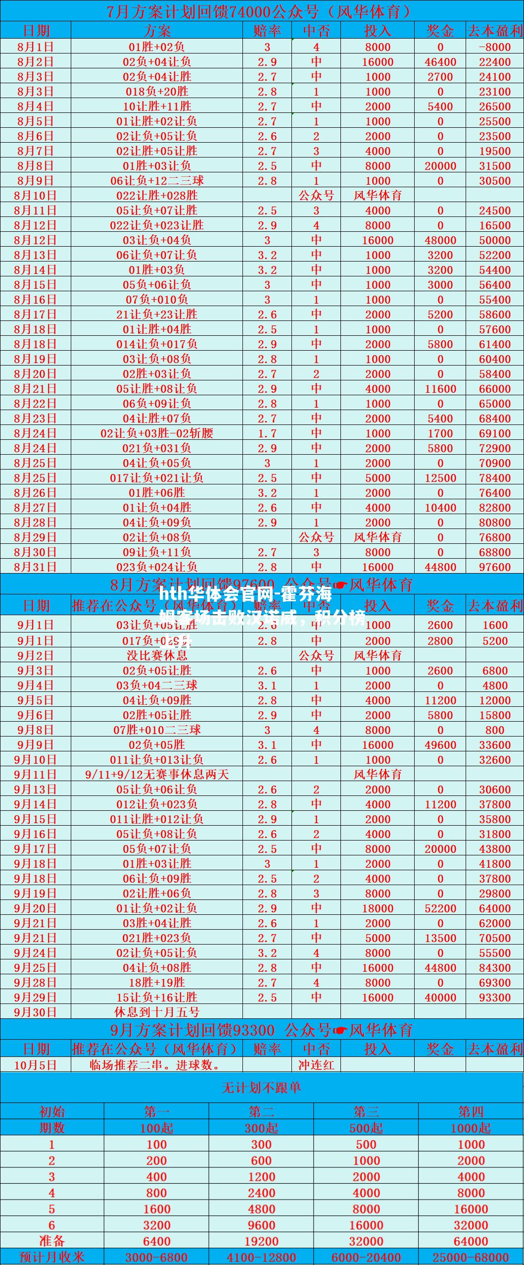 霍芬海姆客场击败汉诺威，积分榜上升